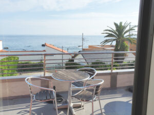 海岸線を眺めながらお食事を....